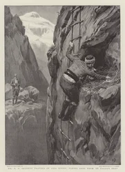 De Reizen van de Heer F.C. Selous in Klein-Azië, eieren uit een arendsnest halen